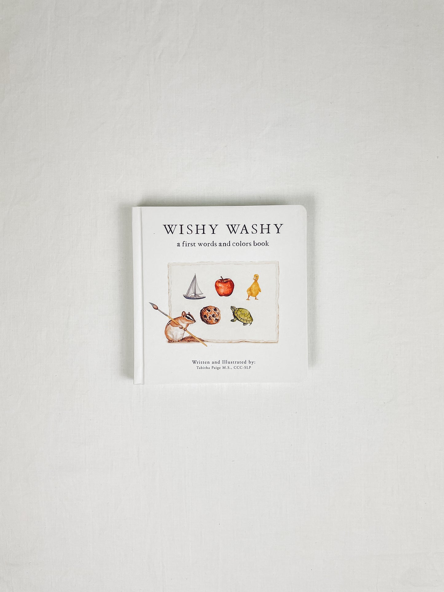 Wishy Washy: A Board Book of First Words and Colors