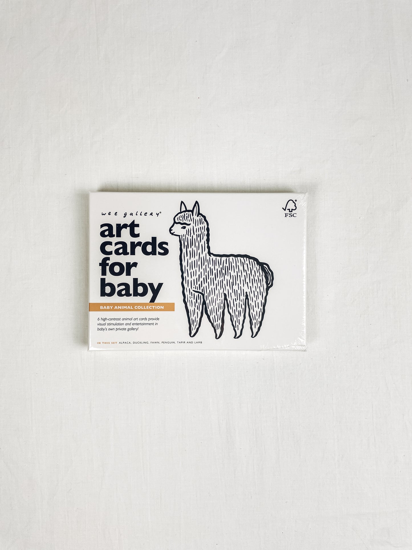 Baby Animal Art Cards